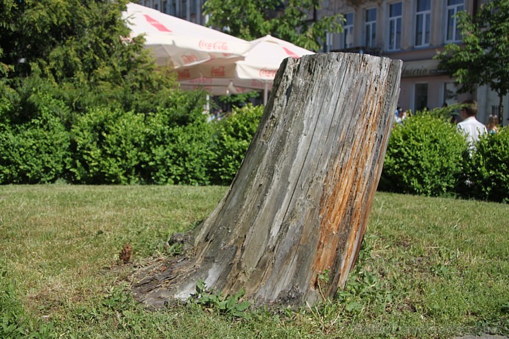Daugavpils (www.visitdaugavpils.lv) ar vērienīgiem un saulainiem svētkiem svin 740. gadu pilsētas jubileju 151064