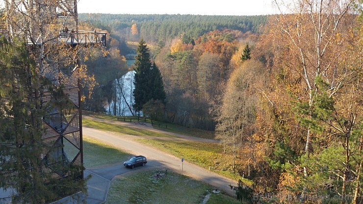 Travelnews.lv sadarbībā ar autonomu Sixt.lv iepazīst Lietuvas koku galotņu taku, kas atrodas 60 km no Paņevežas jeb 10 km no Anīkščai Travelnews.lv sadarbībā ar autonomu Sixt.lv iepazīst Lietuvas koku galotņu taku, kas atrodas 60 km no Paņevežas jeb 10 km no Anīkščai 164087