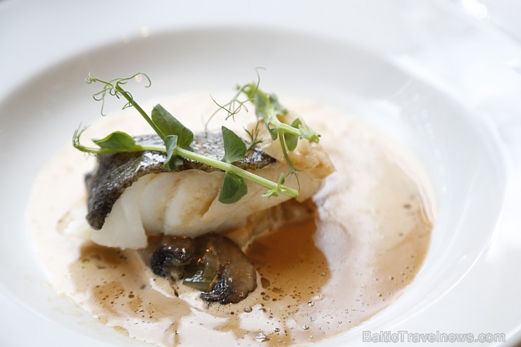 2016. gada 28. aprīlī «Vīna studija» gardēžiem dāvina burvīgas vakariņas ar Michelin šefpavāru Jeremi Fontin no Francijas 173534
