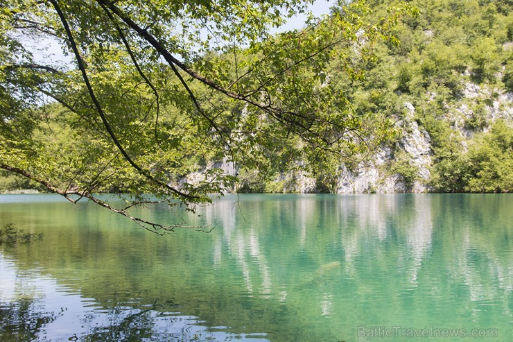 Travelnews.lv sadarbībā ar tūroperatoru Novatours apskata Plitvices ezerus, kas ir pirmais un lielākais Horvātijas nacionālais parks Travelnews.lv sadarbībā ar tūroperatoru Novatours apskata Plitvices ezerus, kas ir pirmais un lielākais Horvātijas nacionālais parks 176884