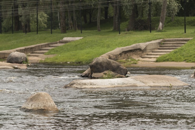 Izbrauciens ar Gaujas tramvaju ir brīnišķīgs veids kā iepazīt ievērojamākos Valmieras apskates objektus no Gaujas Izbrauciens ar Gaujas tramvaju ir brīnišķīgs veids kā iepazīt ievērojamākos Valmieras apskates objektus no Gaujas 179416