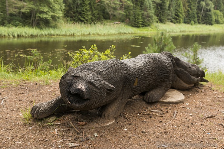 Ar Igaunijas pasaku varoņus attēlojošām koka skulptūrām izveidotajā un iezīmētajā takā atradīsi atvieglojumu daudzām veselības kaitēm. Takas garums ir Ar Igaunijas pasaku varoņus attēlojošām koka skulptūrām izveidotajā un iezīmētajā takā atradīsi atvieglojumu daudzām veselības kaitēm. Takas garums ir 180533