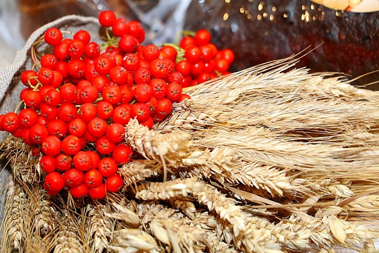 Restorāni un mājražotāji sāk aktīvi gatavoties pārtikas izstādei «Riga Food 2016» 182928