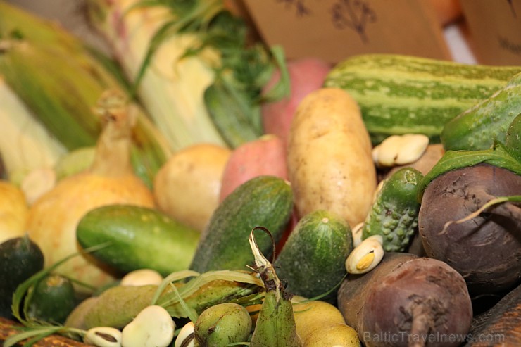 Ķīpsalā gardēži, pavāri un pārtikas ražotāji pulcējas izstādē «Riga Food 2016» 183385