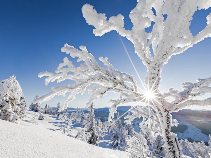 Foto Niclas Vestefjell http://imagebank.sweden.se/search/winter 190984
