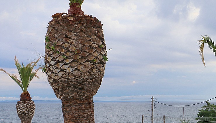 Travelnews.lv kopā ar tūroperatoru «Mouzenidis Travel Latvija» iepazīst Halkidiki viesnīcu «Cronwell Resort Sermilia» Grieķijā 199900