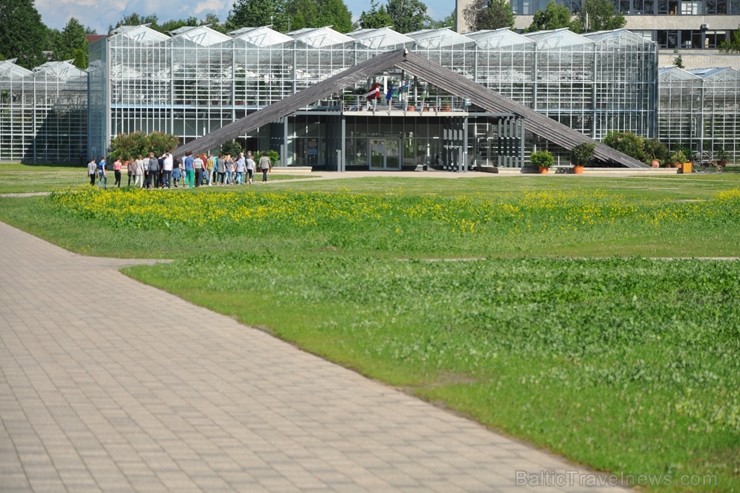 Salaspils botāniskajā dārzā teju viss dārzs ziedos 200274