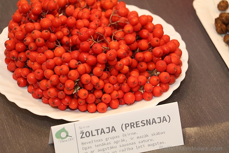 Baltijā lielākā pārtikas izstāde «Riga Food 2017» pārsteidz ar plašo piedāvājumu 206318