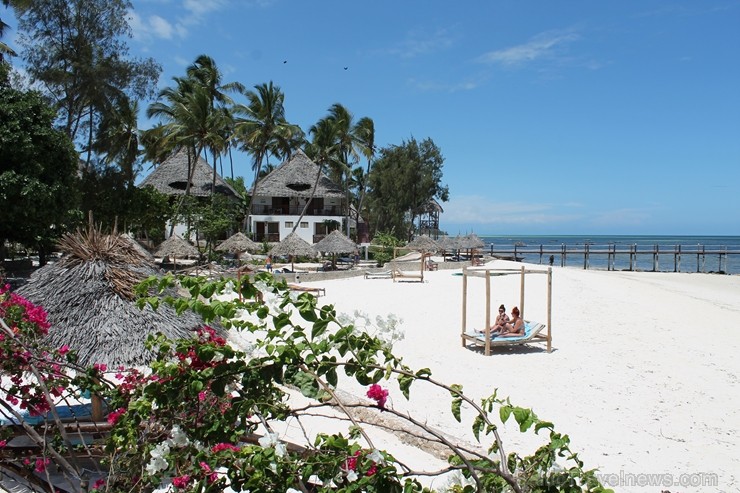 Zanzibāras sala piemērota kvalitatīvai, Eiropas līmeņa pludmales/kūrorta atpūtai un, dodoties ekskursijās, var izjust pietiekoši labu devu Āfrikas ek Zanzibāras sala piemērota kvalitatīvai, Eiropas līmeņa pludmales/kūrorta atpūtai un, dodoties ekskursijās, var izjust pietiekoši labu devu Āfrikas ek 207462