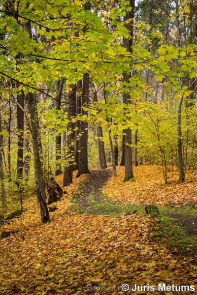 Alūksnē jau var izbaudīt Zelta rudeni. Foto: Juris Metums. 208532