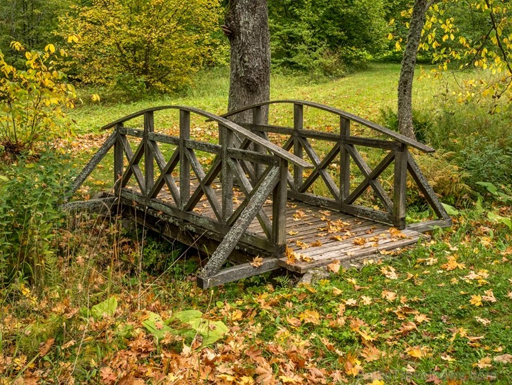 Alūksnē jau var izbaudīt Zelta rudeni. Foto: Linards Luiks. 208533