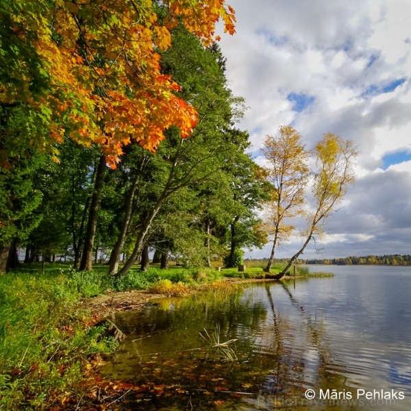 Alūksnē jau var izbaudīt Zelta rudeni. Foto: Māris Pehlaks. 208537