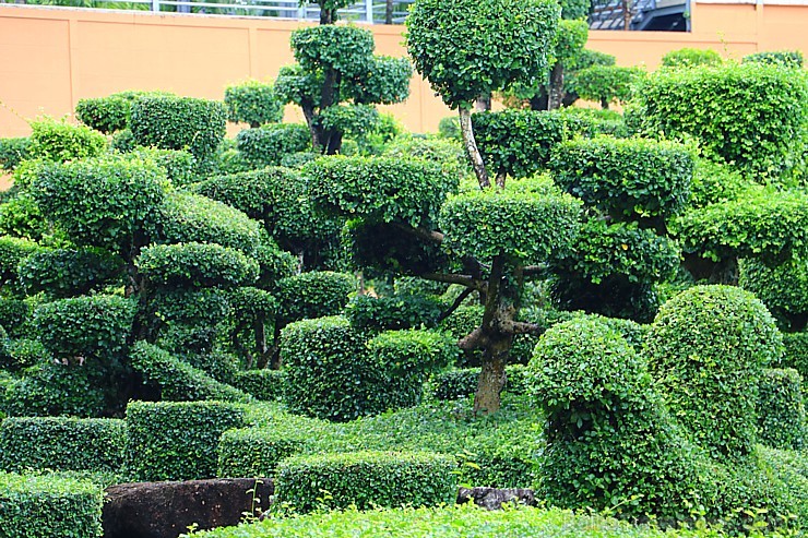 Travelnews.lv kopā ar «365 brīvdienas» un «Turkish Airlines» iepazīst tropu botānisko dārzu «Nong Nooch Tropical Garden» Travelnews.lv kopā ar «365 brīvdienas» un «Turkish Airlines» iepazīst tropu botānisko dārzu «Nong Nooch Tropical Garden» 208746