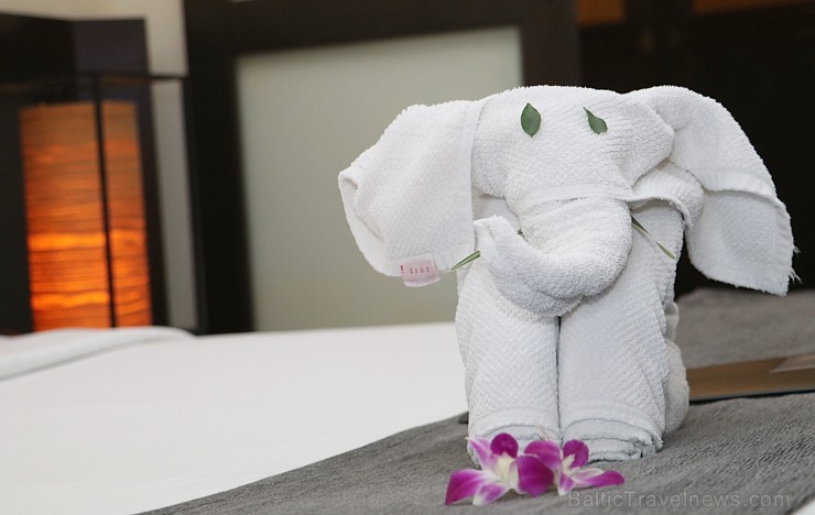 Travelnews.lv kopā ar «365 brīvdienas» un «Turkish Airlines» iepazīst «Panwa Boutique Beach Resort» Taizemes Puketas salā 213819