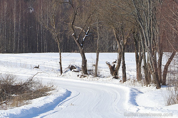 Travelnews.lv iepazīst -20 grādu salu Krāslavas novadā 217796