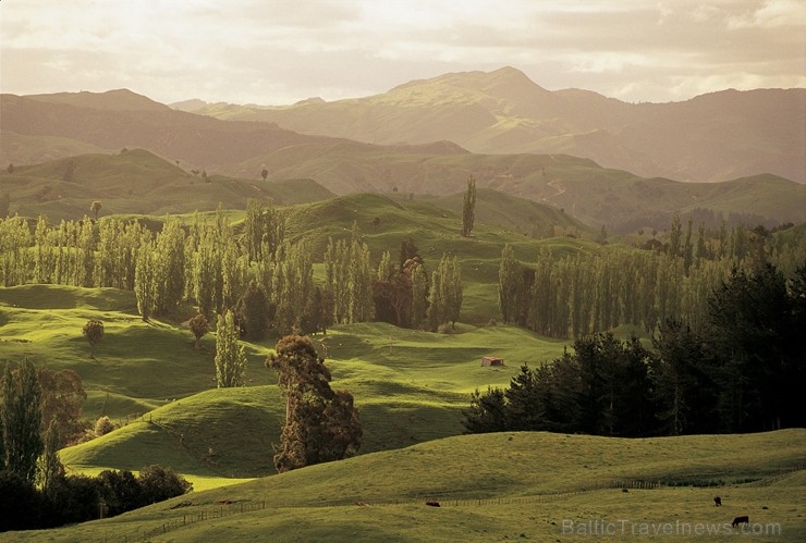 Aplūko Jaunzēlandes elpu aizraujošos dabas skatus. Foto: Tourism Eastland Inc 220224