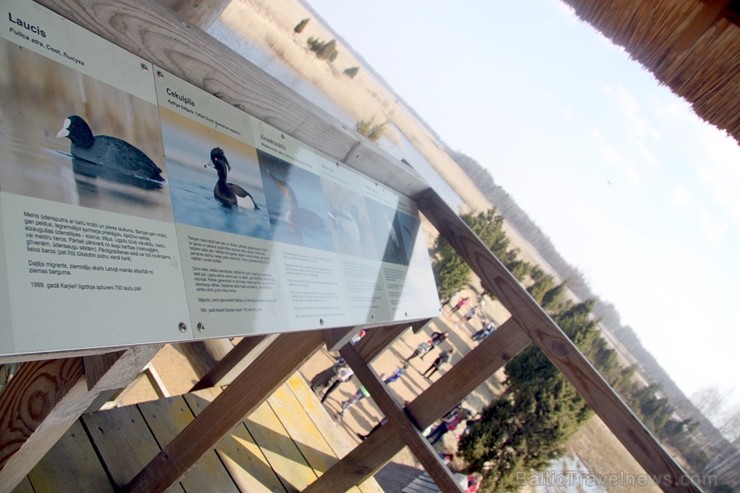 Travelnews.lv kopā ar «Dabas Sporta Zāli» dodas pārgājienā pa Ķemeru Nacionālo parku 220676
