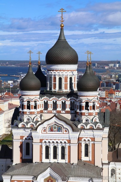 Travelnews.lv kopā ar igauņiem 21.04.2018. apmeklē ikdienā nepieejamo Rīgikogu ēku. Atbalsta: Hotel Schlössle 221122