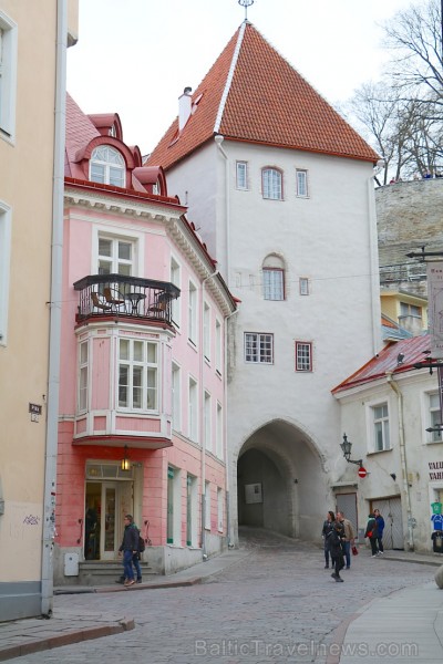 Tallinas pilsētas torņi pievilina ārvalstu ceļotājus. Atbalsta: Hotel Schlössle 221240