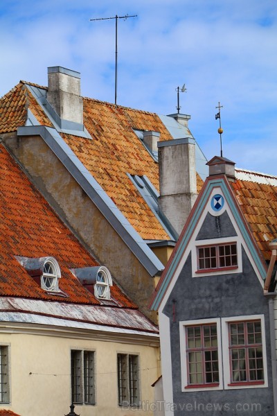 Travelnews.lv kopā ar Tallinas tūristiem iepazīst Igaunijas galvaspilsētu. Atbalsta: Hotel Schlössle 221338