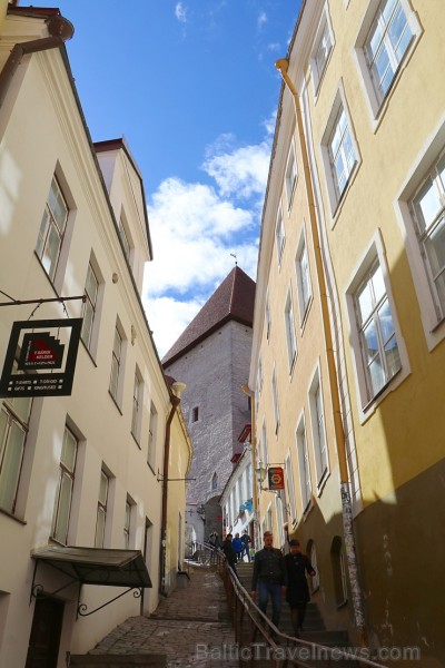 Travelnews.lv kopā ar Tallinas tūristiem iepazīst Igaunijas galvaspilsētu. Atbalsta: Hotel Schlössle Travelnews.lv kopā ar Tallinas tūristiem iepazīst Igaunijas galvaspilsētu. Atbalsta: Hotel Schlössle 221361