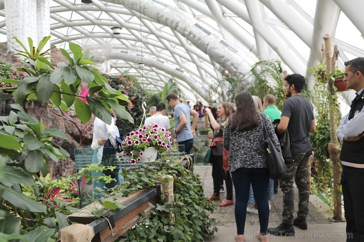 Travelnews.lv apmeklē Konjas taureņu māju «Konya Tropical Butterfly Garden». Atbalsta: Turkish Airlines Travelnews.lv apmeklē Konjas taureņu māju «Konya Tropical Butterfly Garden». Atbalsta: Turkish Airlines 223754