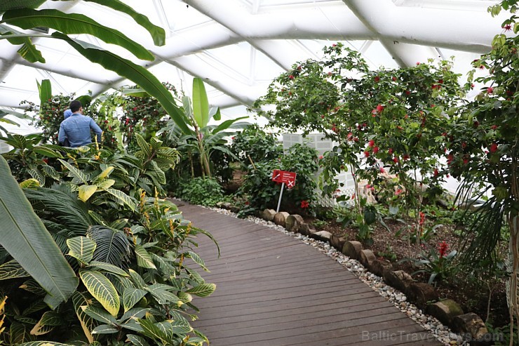 Travelnews.lv apmeklē Konjas taureņu māju «Konya Tropical Butterfly Garden». Atbalsta: Turkish Airlines Travelnews.lv apmeklē Konjas taureņu māju «Konya Tropical Butterfly Garden». Atbalsta: Turkish Airlines 223755