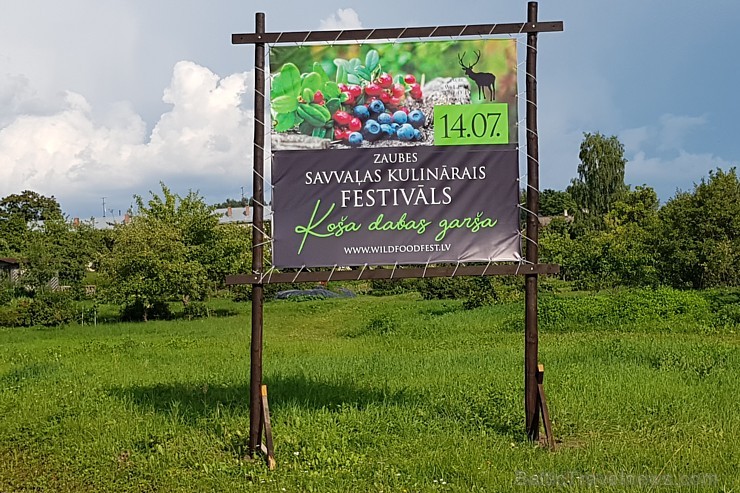 Travelnews.lv 14.07.2018. izbauda «Lejasezera garšas svētki» Zaubē zem Zaubes slavenā dižozola. Bildēts ar Samsung Galaxy Note8 228312