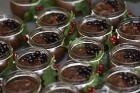 Plaši apmeklētajā Zaubes savvaļas kulinārajā festivālā bija meklējamas teju visas Latvijas garšas 102
