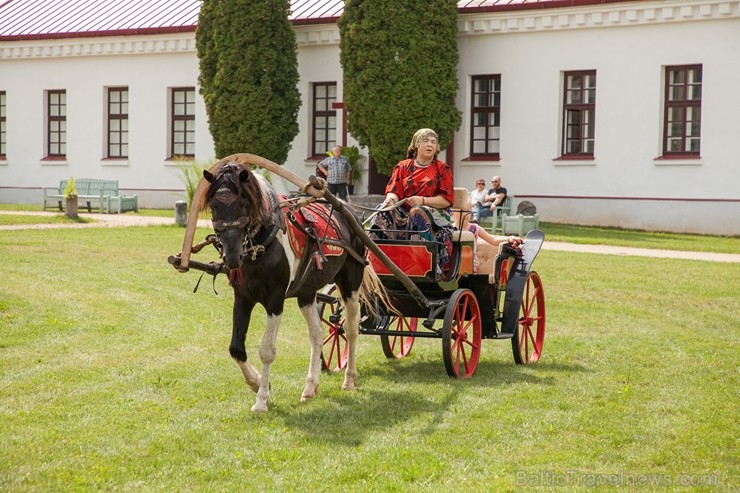 Krāslavā aizvada Starptautisko kulinārā mantojuma festivālu 229878