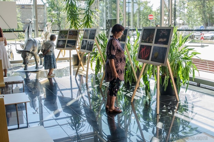 Ventspils prāmju terminālī atklāj sajūtu projekciju «Iemīlies Ventspilī» 230007