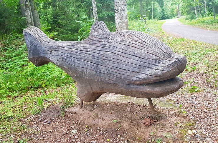 Skaiņaiskalns pie Mazsalacas piesaista daudzu ceļotāju interesi. Fotogaleriju atbalsta: izdevīgo cenu auto noma «Rental park» (bildēts ar Samsung Gala Skaiņaiskalns pie Mazsalacas piesaista daudzu ceļotāju interesi. Fotogaleriju atbalsta: izdevīgo cenu auto noma «Rental park» (bildēts ar Samsung Gala 232154