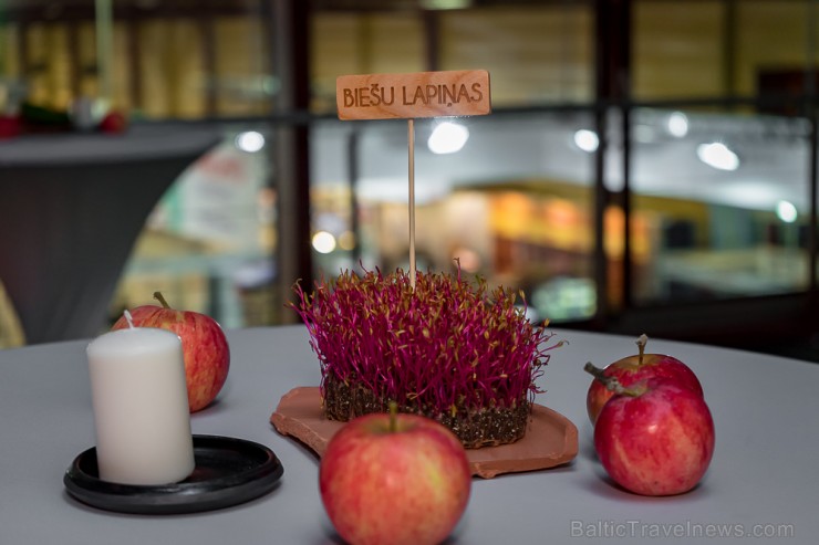 Latvijas 2018. gada pavārs ir Dinārs Zvidriņš un pavārzellis ir Anastasija Verbicka. Atbalsta: Riga Food 2018. Foto: Saltnpepper.lv 233061
