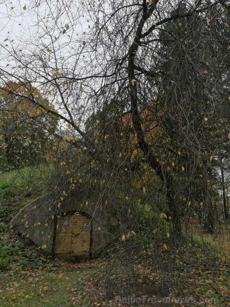 Rīgas parki un dārzi pārklājas rudens zeltā 234682