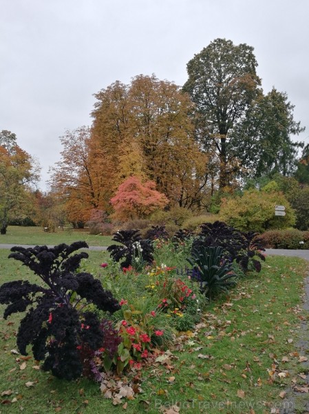 Rīgas parki un dārzi pārklājas rudens zeltā 234693
