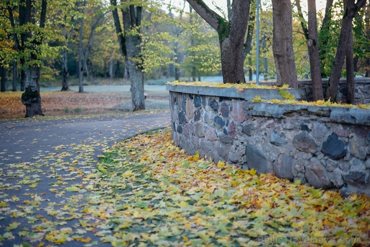 Latvijas un ārvalstu iedzīvotāju ķert zelta lapu mirkļus, atspoguļojot brīnišķīgi krāšņo rudeni. Foto no Siguldas novada pašvaldības vizuālo materiālu Latvijas un ārvalstu iedzīvotāju ķert zelta lapu mirkļus, atspoguļojot brīnišķīgi krāšņo rudeni. Foto no Siguldas novada pašvaldības vizuālo materiālu 235220