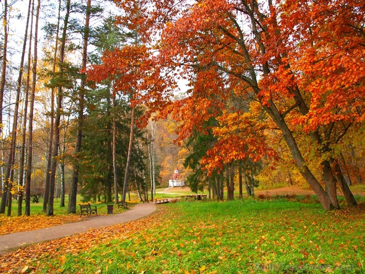 Latvijas un ārvalstu iedzīvotāju ķert zelta lapu mirkļus, atspoguļojot brīnišķīgi krāšņo rudeni. Foto no Siguldas novada pašvaldības vizuālo materiālu 235225