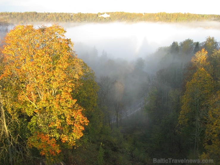 Latvijas un ārvalstu iedzīvotāju ķert zelta lapu mirkļus, atspoguļojot brīnišķīgi krāšņo rudeni. Foto no Siguldas novada pašvaldības vizuālo materiālu 235228