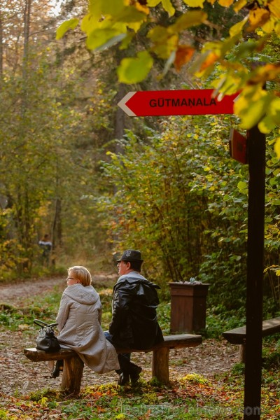 Latvijas un ārvalstu iedzīvotāju ķert zelta lapu mirkļus, atspoguļojot brīnišķīgi krāšņo rudeni. Foto no Siguldas novada pašvaldības vizuālo materiālu 235236