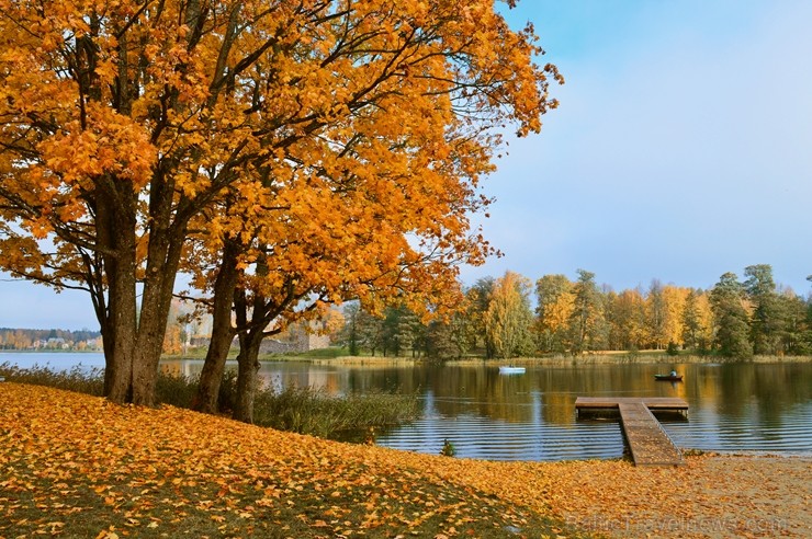 Senatnīgajā Ziemeļvidzemes pilsētā Alūksnē un tās apkārtnē valda zelta rudens. Foto: Aivija Gritāne Senatnīgajā Ziemeļvidzemes pilsētā Alūksnē un tās apkārtnē valda zelta rudens. Foto: Aivija Gritāne 235795