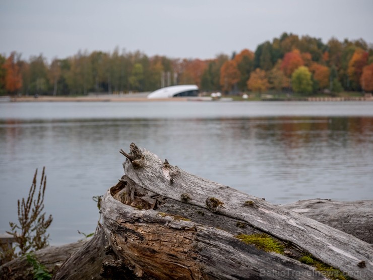 Senatnīgajā Ziemeļvidzemes pilsētā Alūksnē un tās apkārtnē valda zelta rudens. Foto: Linards Luiks Senatnīgajā Ziemeļvidzemes pilsētā Alūksnē un tās apkārtnē valda zelta rudens. Foto: Linards Luiks 235813