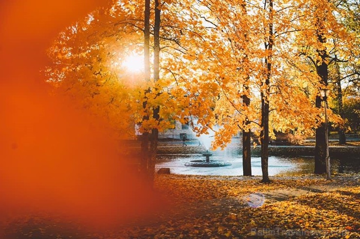 Senatnīgajā Ziemeļvidzemes pilsētā Alūksnē un tās apkārtnē valda zelta rudens. Foto: Linda Arāja Senatnīgajā Ziemeļvidzemes pilsētā Alūksnē un tās apkārtnē valda zelta rudens. Foto: Linda Arāja 235814