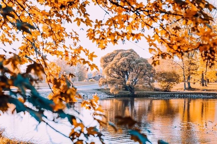 Senatnīgajā Ziemeļvidzemes pilsētā Alūksnē un tās apkārtnē valda zelta rudens. Foto: Linda Arāja Senatnīgajā Ziemeļvidzemes pilsētā Alūksnē un tās apkārtnē valda zelta rudens. Foto: Linda Arāja 235815