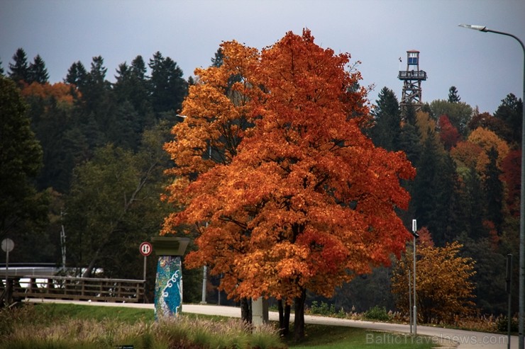Senatnīgajā Ziemeļvidzemes pilsētā Alūksnē un tās apkārtnē valda zelta rudens. Foto: Ralfs Strazds Senatnīgajā Ziemeļvidzemes pilsētā Alūksnē un tās apkārtnē valda zelta rudens. Foto: Ralfs Strazds 235827