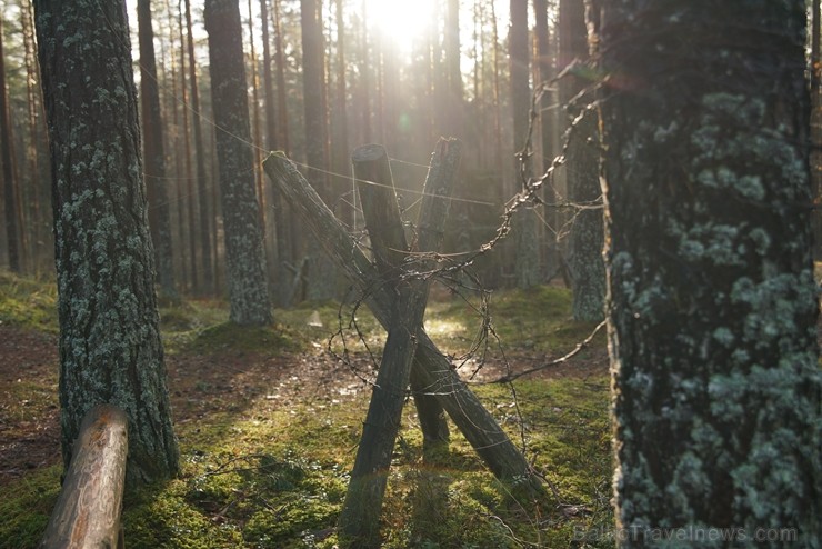 Šogad Rīgas lielās ziemassvētku egles tika meklētas vēsturiski ļoti nozīmīgā vietā, kur pirms 102 gadiem norisinājās Ziemassvētku kaujas. Pirms egļu m 238405