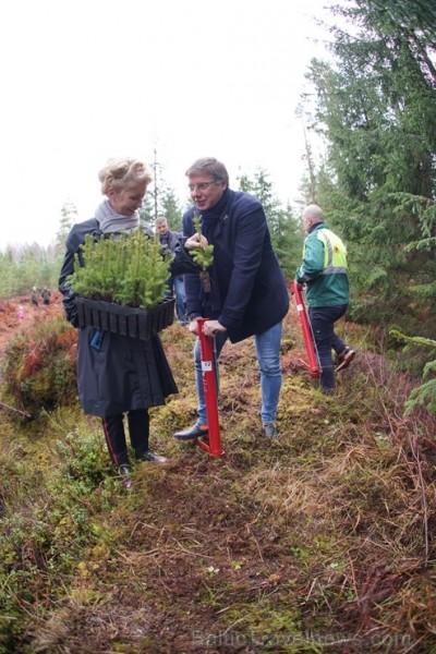 Šogad Rīgas lielās ziemassvētku egles tika meklētas vēsturiski ļoti nozīmīgā vietā, kur pirms 102 gadiem norisinājās Ziemassvētku kaujas. Pirms egļu m Šogad Rīgas lielās ziemassvētku egles tika meklētas vēsturiski ļoti nozīmīgā vietā, kur pirms 102 gadiem norisinājās Ziemassvētku kaujas. Pirms egļu m 238419