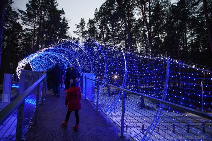Jūrmalā - Dzintaru mežaparkā - atklāts Gaismas parks, kurā dažādos gaismas dekoros, skulptūrās jau otro gadu iemirdzas tūkstošiem LED gaismiņu. Jūrmalā - Dzintaru mežaparkā - atklāts Gaismas parks, kurā dažādos gaismas dekoros, skulptūrās jau otro gadu iemirdzas tūkstošiem LED gaismiņu. 239723