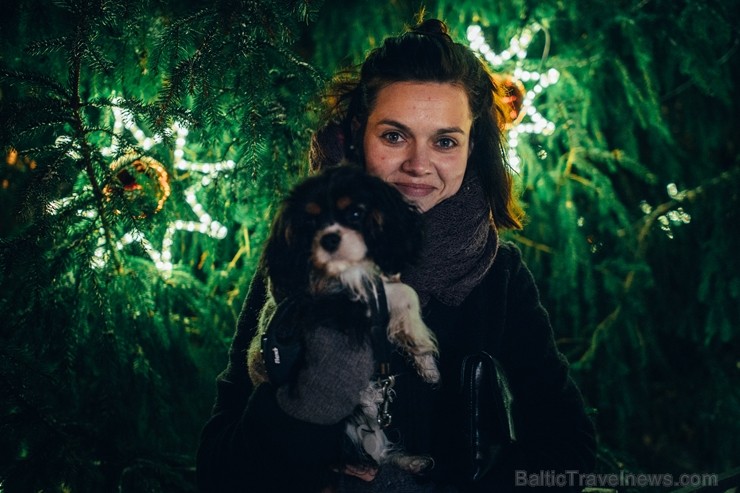 Cēsīs, gaidot Ziemassvētkus, pilsētas iedzīvotāji un viesi pulcējās kopā uz egles iedegšanu, tirdziņos meklēja un atrada gardas dāvanas un klausījās b Cēsīs, gaidot Ziemassvētkus, pilsētas iedzīvotāji un viesi pulcējās kopā uz egles iedegšanu, tirdziņos meklēja un atrada gardas dāvanas un klausījās b 239839