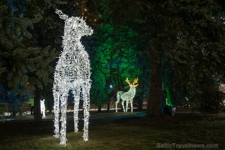 Daugavpilī iedegta pilsētas galvenā egle un iemirdzējusies Latvijā lielākā zvaigzne, bet visus daugavpiliešus un pilsētas viesus gaida atklāta pilsēta Daugavpilī iedegta pilsētas galvenā egle un iemirdzējusies Latvijā lielākā zvaigzne, bet visus daugavpiliešus un pilsētas viesus gaida atklāta pilsēta 240956