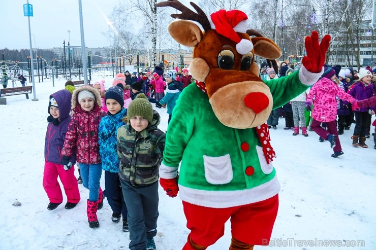Svētku egle, kura ir gandrīz 12 metrus augsta, priecēs ikvienu, kurš svētku laikā apmeklēs vienu no jaunākajiem sporta un aktīvās atpūtas laukumiem Pu 241913